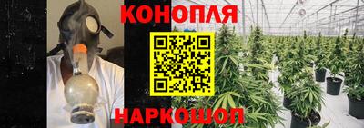 спайс Нальчик