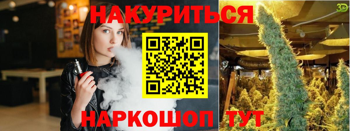 Конопля гибрид Удомля